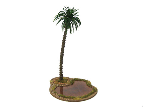 "Oasis 1"