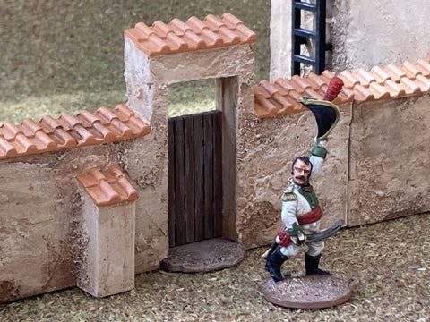 28mm 1:56 "Pantile Gates (Pair)"