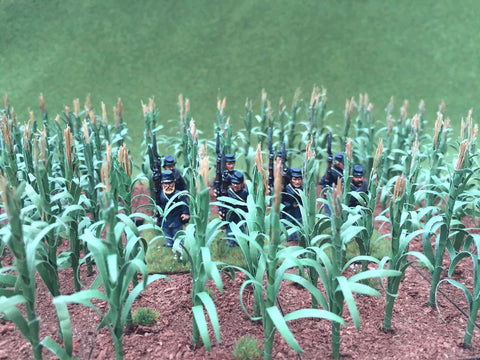 Crop Field D 250mm x 150mm (2mm version)