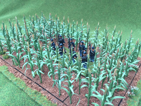 Crop Field D 250mm x 150mm (2mm version)