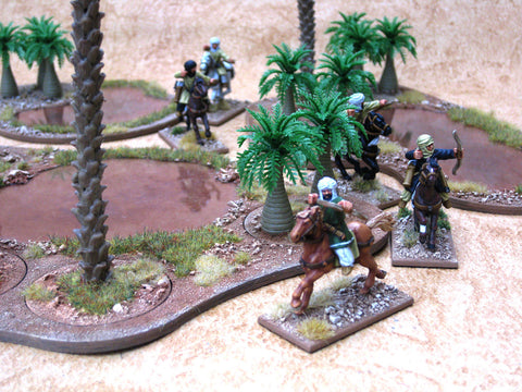"Oasis 3"