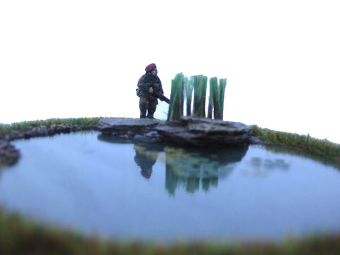 "Pond 1"